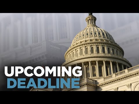 GOP Rep: 'Democrats WANT a Government Shutdown', Sept. 30 Deadline Looms | NewsNation