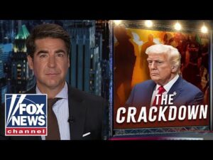 Watters: It's too late for Dems, Trump's cleanup crew is here