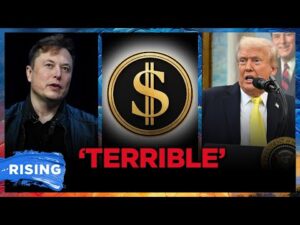 Elon Musk RAGES Over ‘Big Balls’ Alleged ATTACKERS Getting NO JAIL TIME | RISING