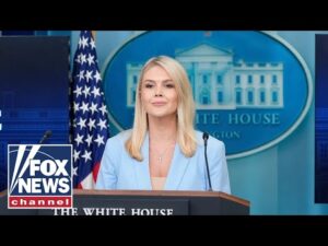 Karoline Leavitt slams Dems over air travel chaos amid shutdown