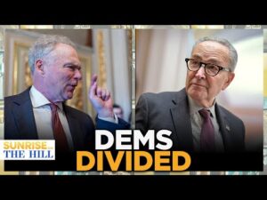 Schumer Faces BACKLASH Over 'FAILURE' To Get HEALTHCARE On The Table In SPENDING Bill | SUNRISE
