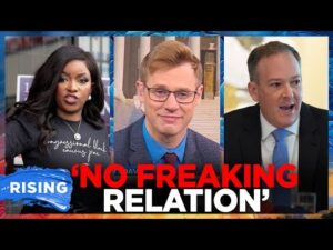 Crockett CALLED OUT For Connecting Lee Zeldin, GOP to WRONG Jeffrey Epstein! Robby Soave | RISING