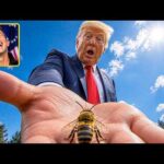 A Bee Just Landed on Trump | His Reaction BROKE The Internet 🤣