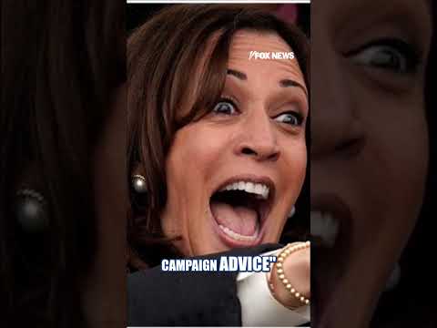 Laura Ingraham: Does anyone think they should ask Kamala Harris for campaign advice?