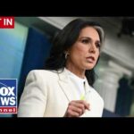 JUST IN: Tulsi Gabbard drops BOMBSHELL allegation against Fauci