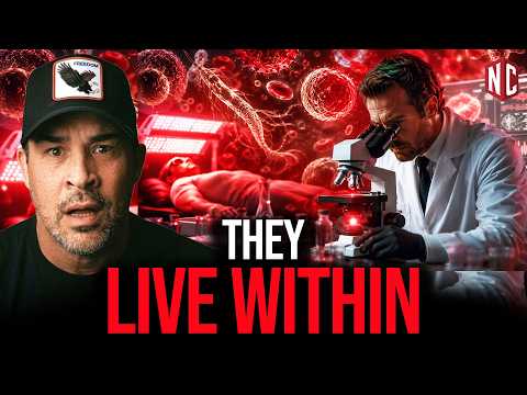 Why Your Doctor Will NEVER Test You For This (The Hidden War)
