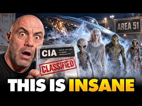 Joe Rogan Military UFO Whistleblower Just EXPOSED Everything…’I’ve Seen The 4 Species’
