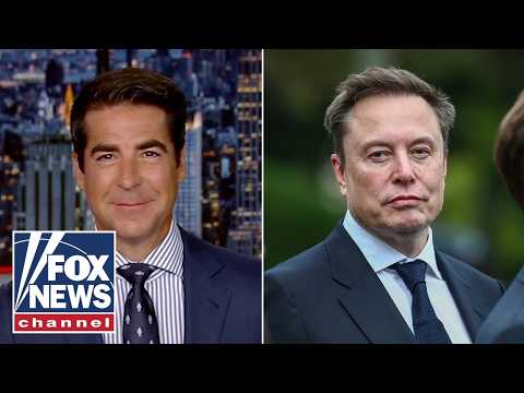 Watters: They REALLY can't stand Elon